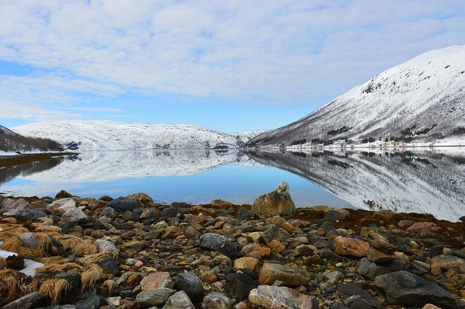 Fjord, Mountain and Wildlife Tour - The minibus tradeoff