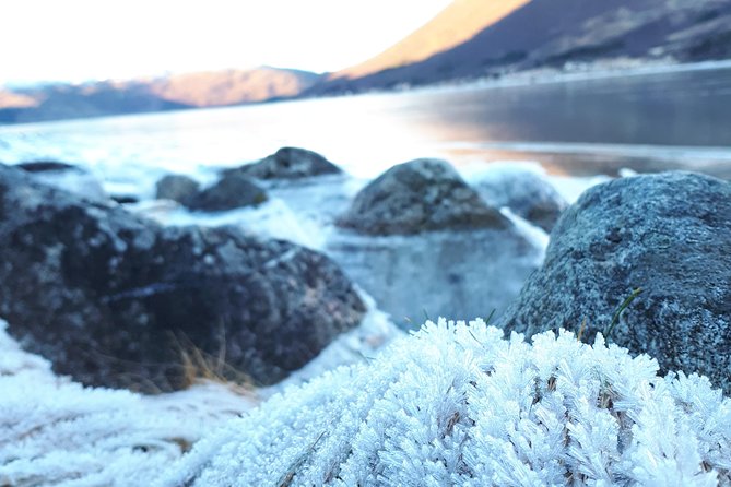 Fjord, Mountain and Wildlife Tour - A warm finish after the fjords