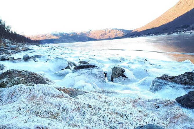 Fjord, Mountain and Wildlife Tour - Who will enjoy this tour most