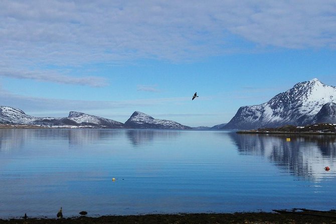 Fjord, Mountain and Wildlife Tour - What the route gives you, stop by stop