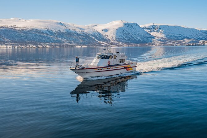 Fjord Safari in the Altafjord - Passing Isnestoften and the small coastal communities