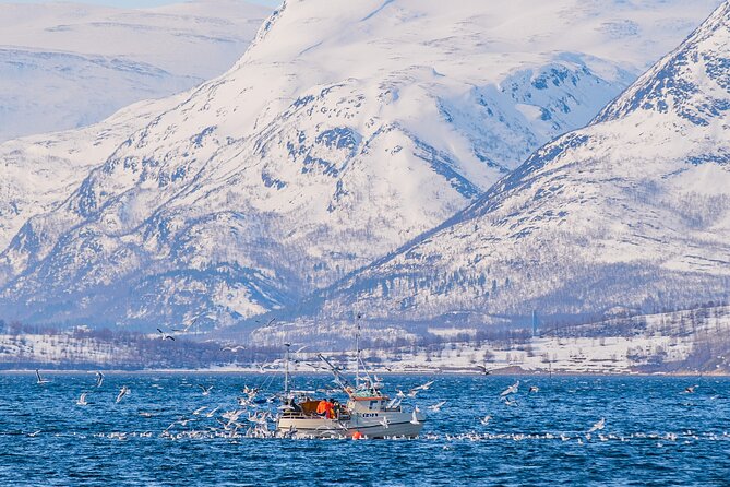 Fjord Safari in the Altafjord - Is the $171.21 price good value?