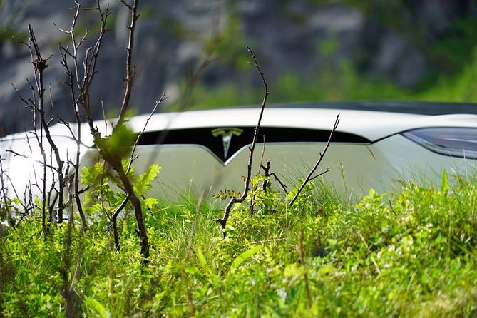 Fjord Sightseeing - Eco friendly Tesla Model X - Fjords, mountains, and the value of stopping