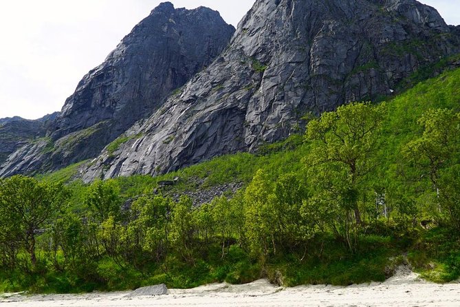 Fjord Sightseeing - Eco friendly Tesla Model X - A relaxed three-hour pace