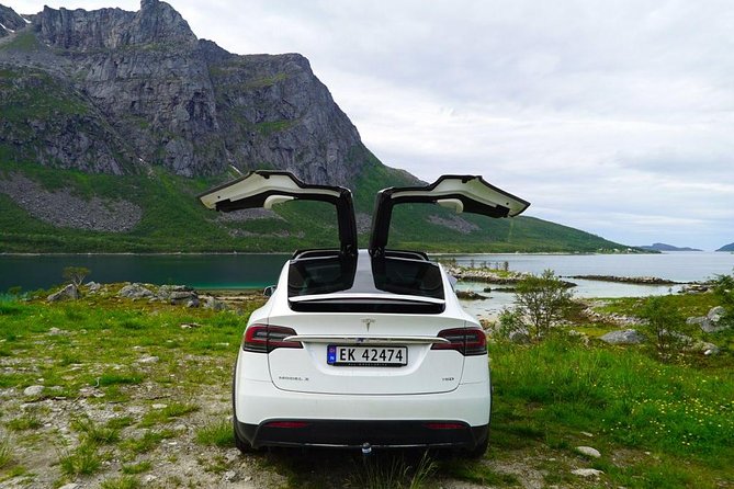 Fjord Sightseeing - Eco friendly Tesla Model X - Coffee, cake, and a small café stop
