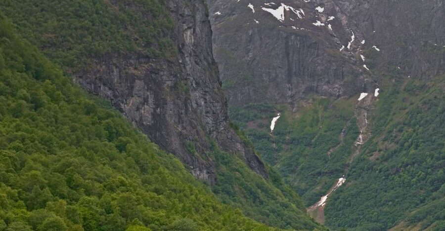 Fjords: Private Trip with Train and Cruise Ride - The Bergen Railway section