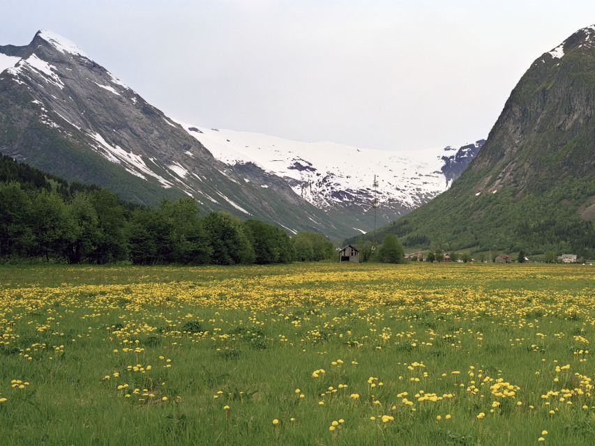 Fjords: Private Trip with Train and Cruise Ride - Crossing the high country near Hardangervidda