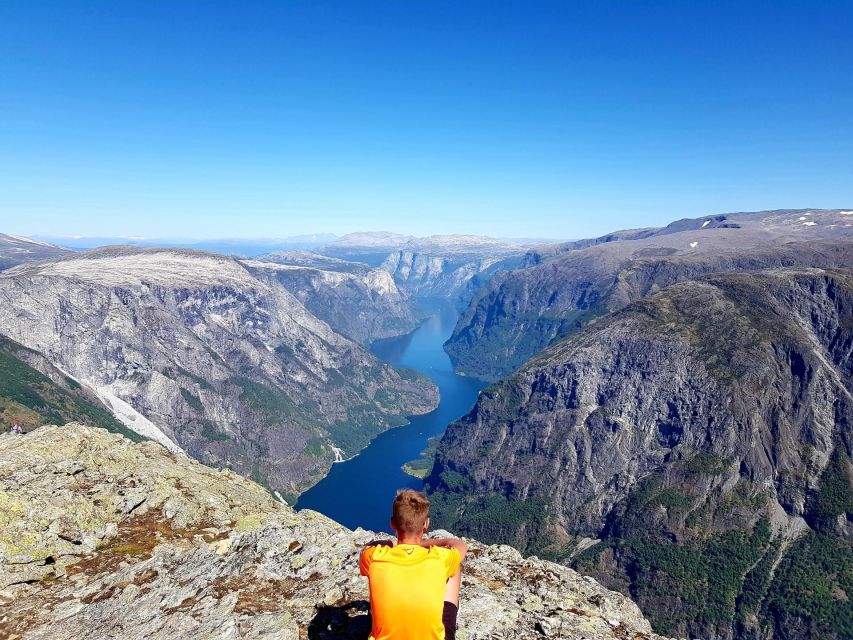 Flåm: Borgund Stave Church, Lærdal, and Stegastein Tour - Why this Flåm route is worth your half-day