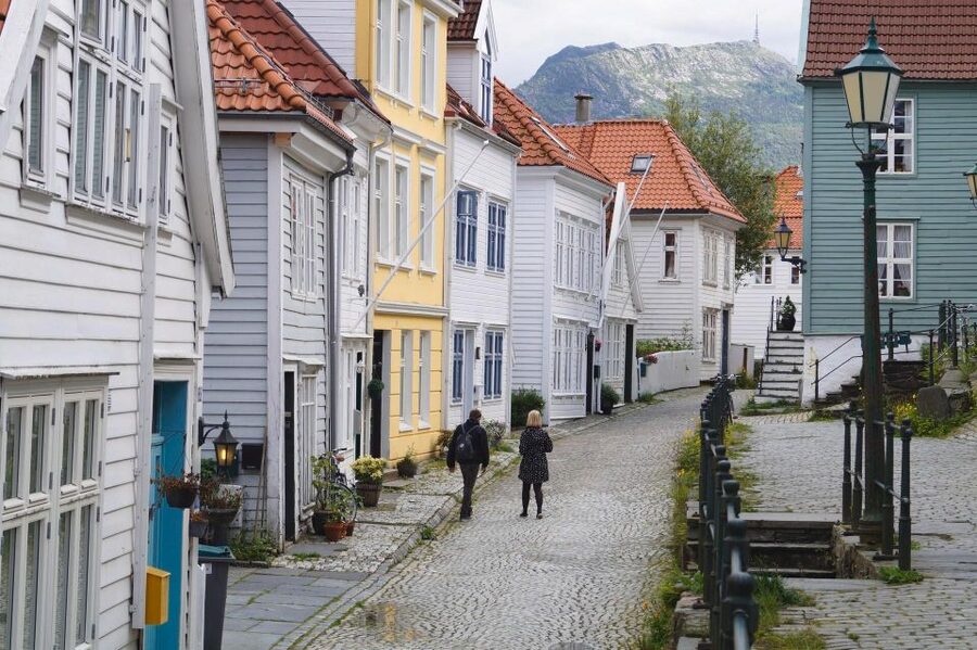 Flåm: Borgund Stave Church, Lærdal, and Stegastein Tour - What $146 includes, and what it does not