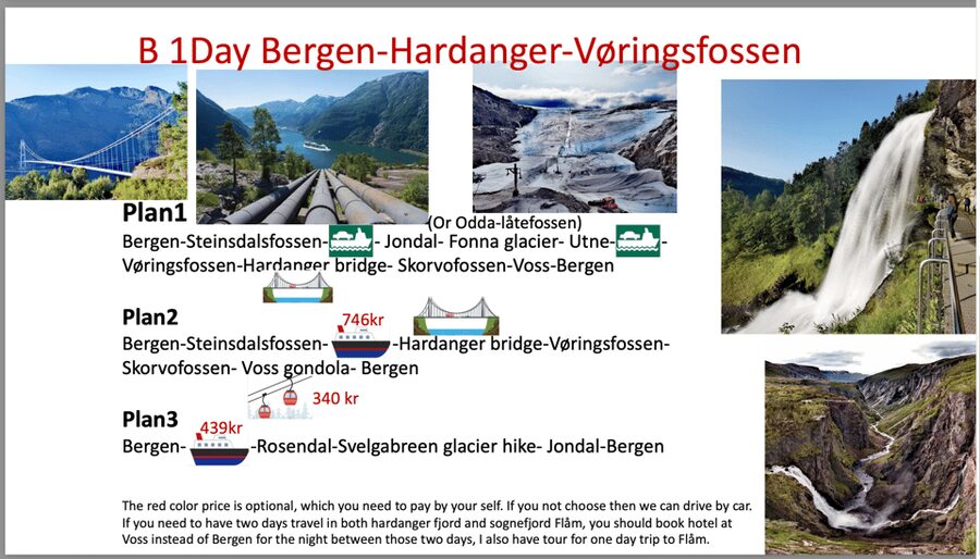 Flåm Flexible Tour with Stegastein, cruise and train include - Flåm combines the railway with a proper fjord village stop