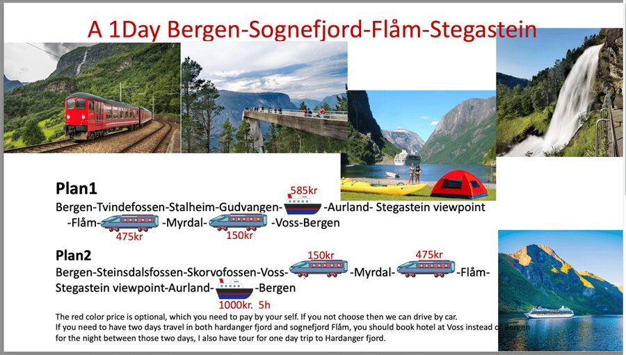 Flåm Flexible Tour with Stegastein, cruise and train include - Timing, weather, and the art of keeping the day workable