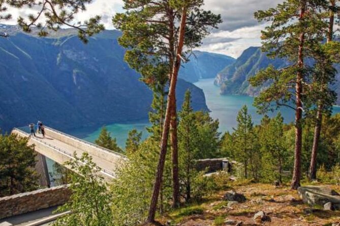 Flam: The Spectacular Stegastein Viewpoint Tour (Small Group) - Is $123.41 a fair price?
