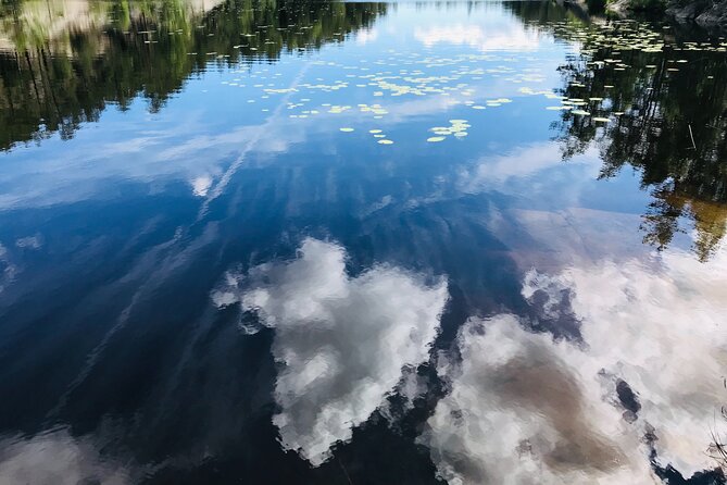 Forestbathing Slow Walking and Healing Spring Water, Stockholm - Meditation among the trees