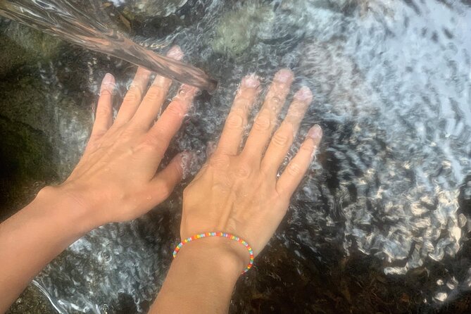 Forestbathing Slow Walking and Healing Spring Water, Stockholm - Who should book this nature outing