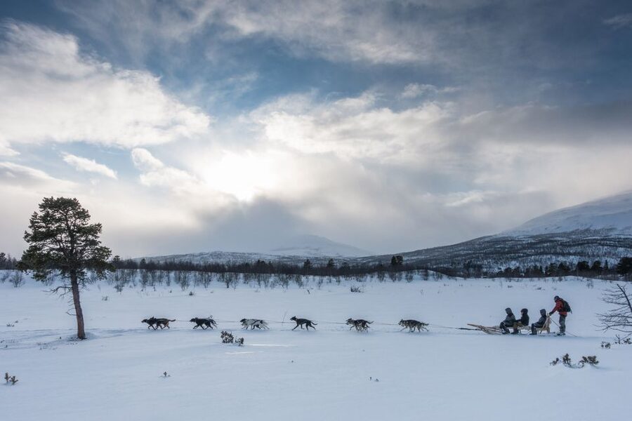 From Abisko: Dog Sledding Excursion to Kiruna with Fika - From Abisko to the Kiruna dog camp