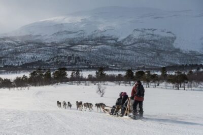 Dog Sledding Excursion to Kiruna with Fika