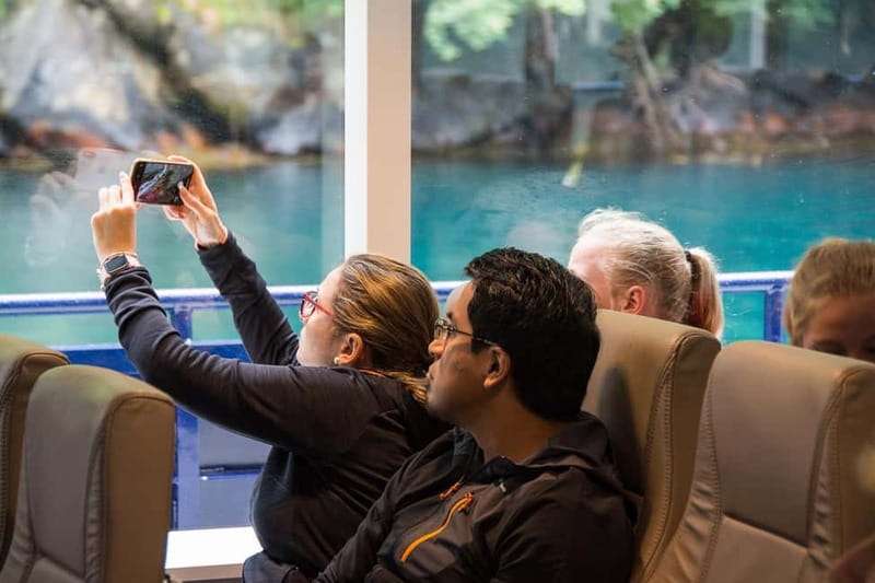 From Ålesund: Round Trip Fjord Cruise to Geirangerfjord - Who should choose this day trip?
