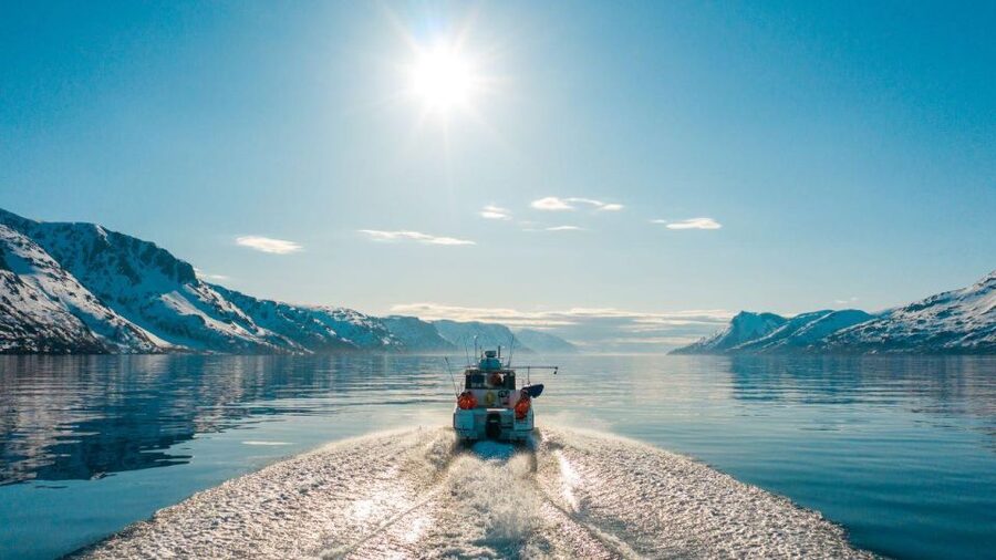 From Alta: Adventure Cruise in Alta Fjord - A quiet way to meet Alta Fjord