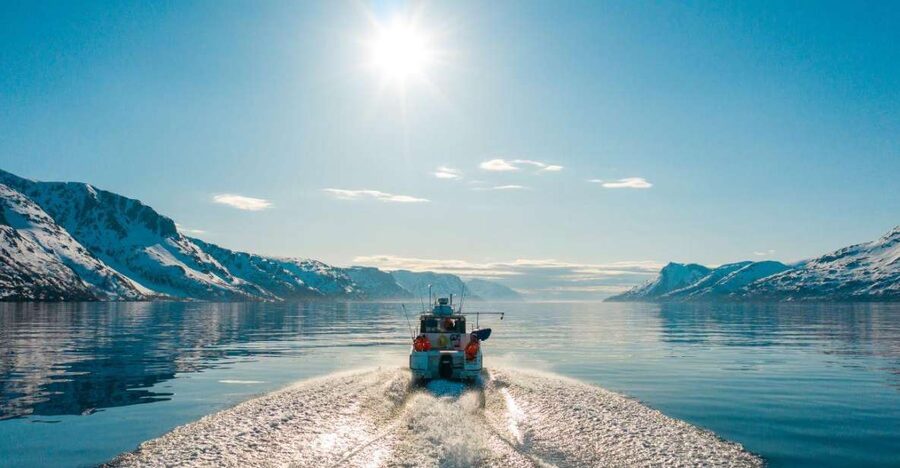 From Alta: Adventure Cruise in Alta Fjord - Watching birds in their natural setting