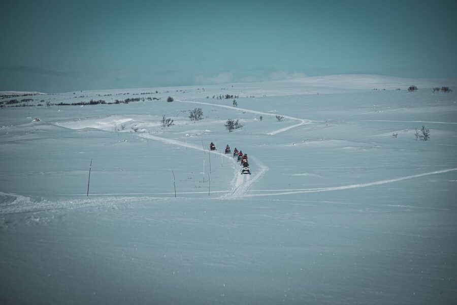 From Alta: Daytime Snowmobile Adventure - Key points before you book