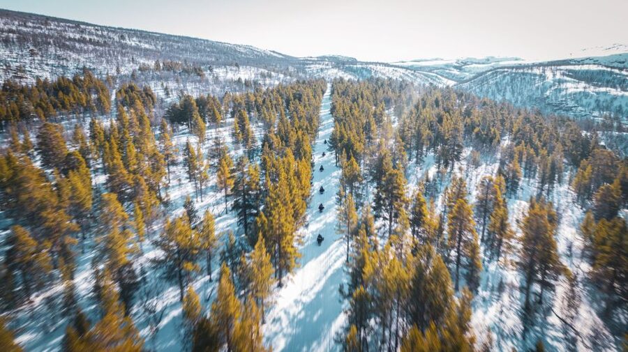 From Alta: Daytime Snowmobile Adventure - Gargia Lodge, coffee, and local snacks