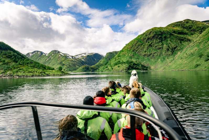 From Alta: Experience Seiland National Park - Altafjord to Seiland: the ride is part of the trip