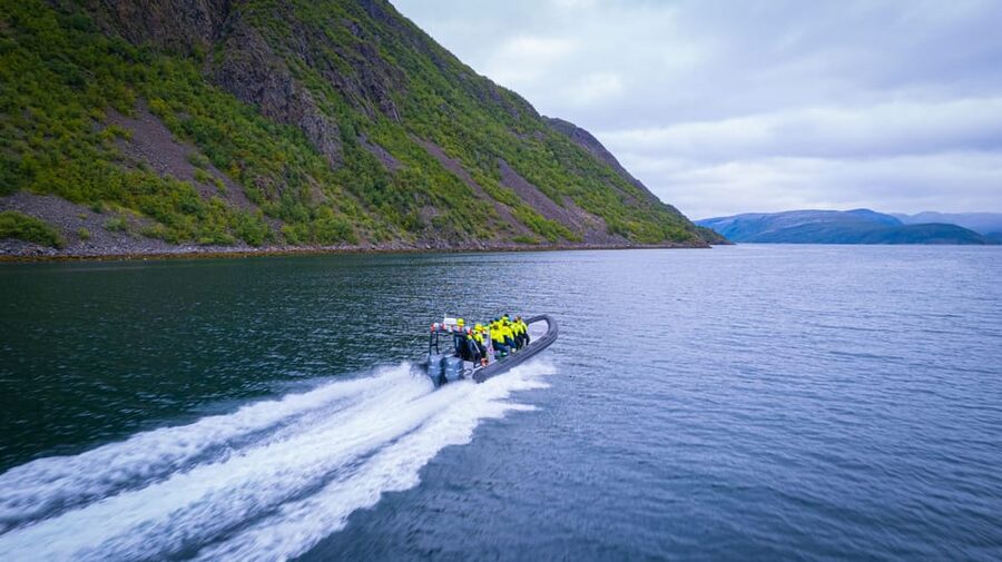 From Alta: Experience Seiland National Park - Scenery, wildlife, and local context