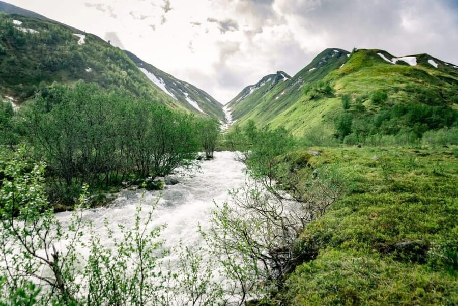 From Alta: Experience Seiland National Park - Should you book the Seiland excursion?