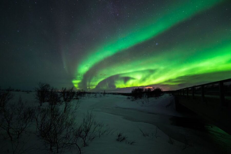 From Alta: Nighttime Northern Lights Spotting Tour - Starting at Æventyr Adventure Store in Alta