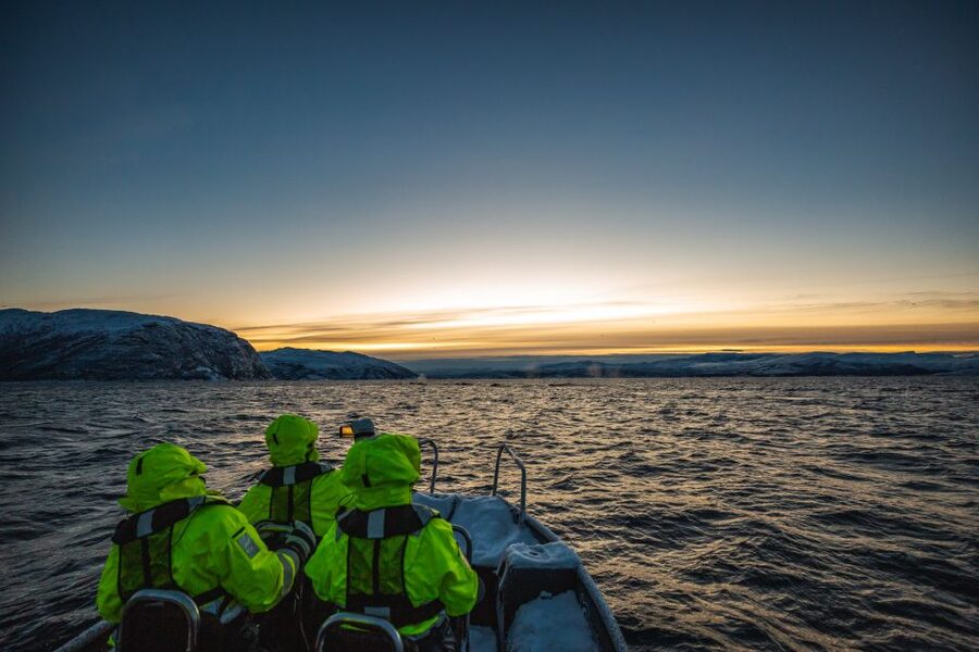 From Alta: Small Group Whale Watching by RIB - Why Alta is a strong base for winter whale watching