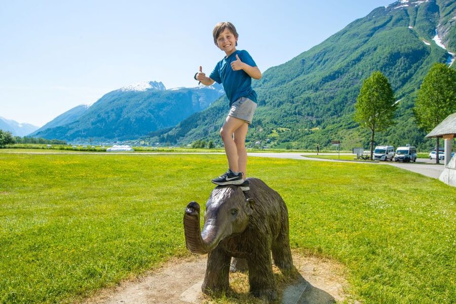 From Balestrand: Guided Fjord & Glacier Tour to Fjærland - Should you book the Fjærland tour?