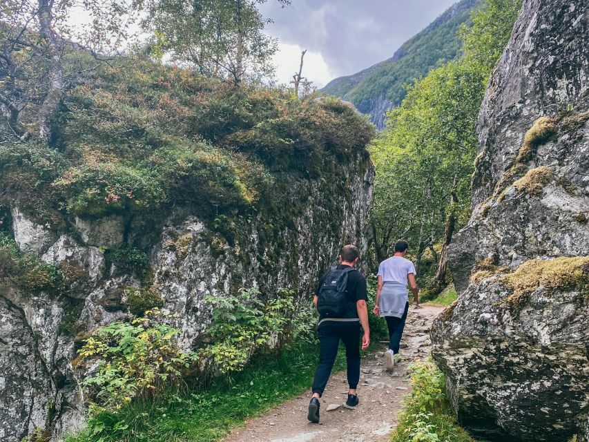 From Bergen: Folgefonna National Park & Glacier Lake Tour - What you find at the glacier lake