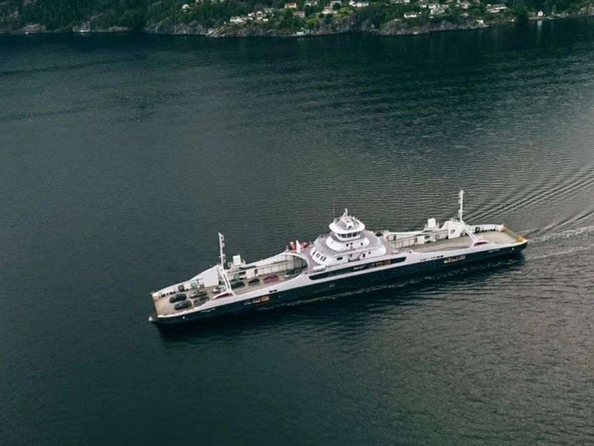 From Bergen: Folgefonna National Park & Glacier Lake Tour - Who will enjoy this outing?