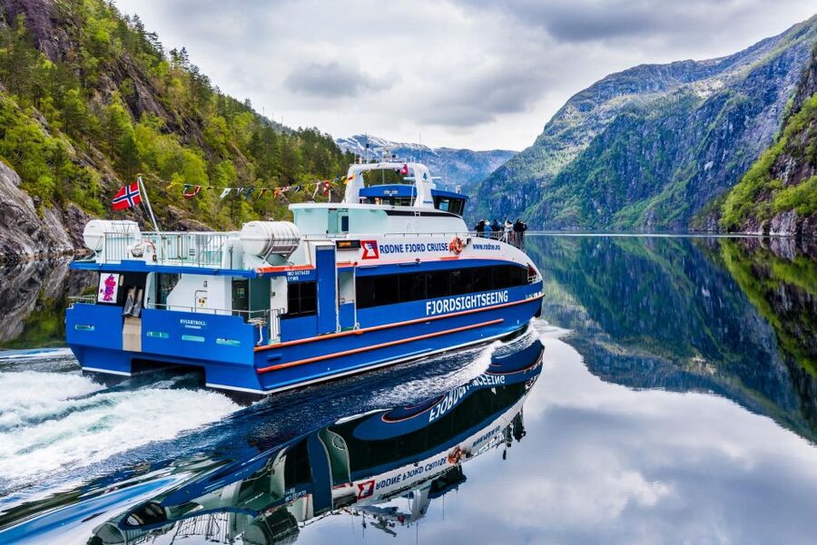 From Bergen: The Original Fjord Cruise to Mostraumen - Wildlife and the changing view back to Bergen