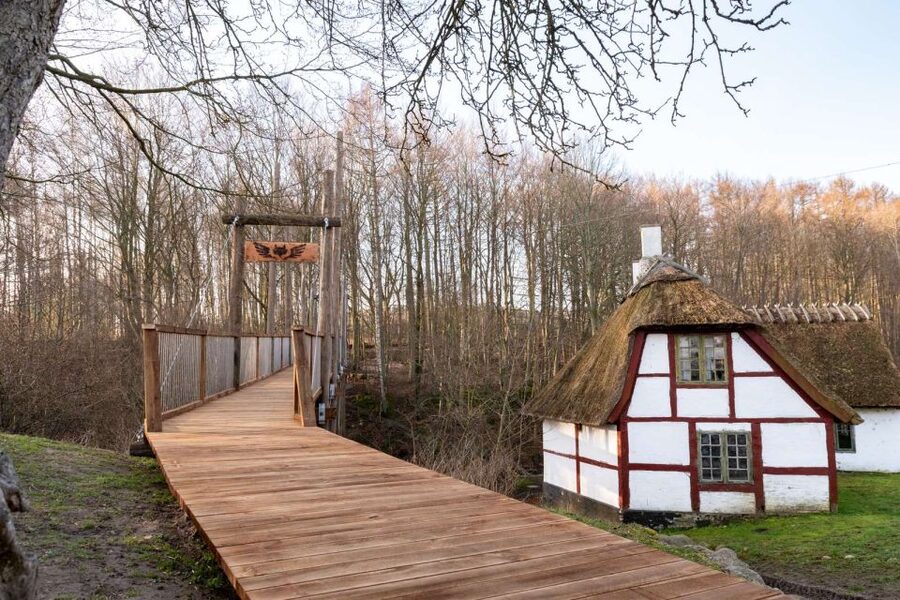 From Copenhagen: Round-Trip to Møns Klint and Forest Tower - Who should book this outing