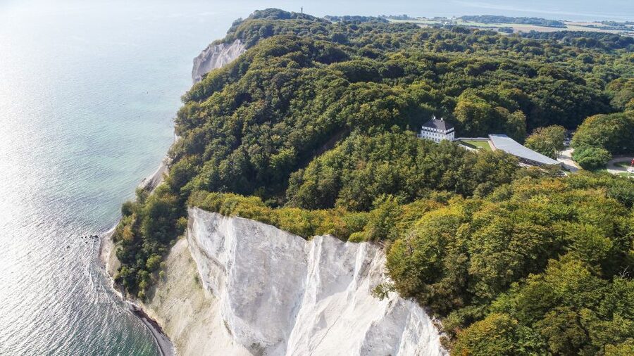 From Copenhagen: Round-Trip to Møns Klint and Forest Tower - Why this day trip is worth leaving Copenhagen for