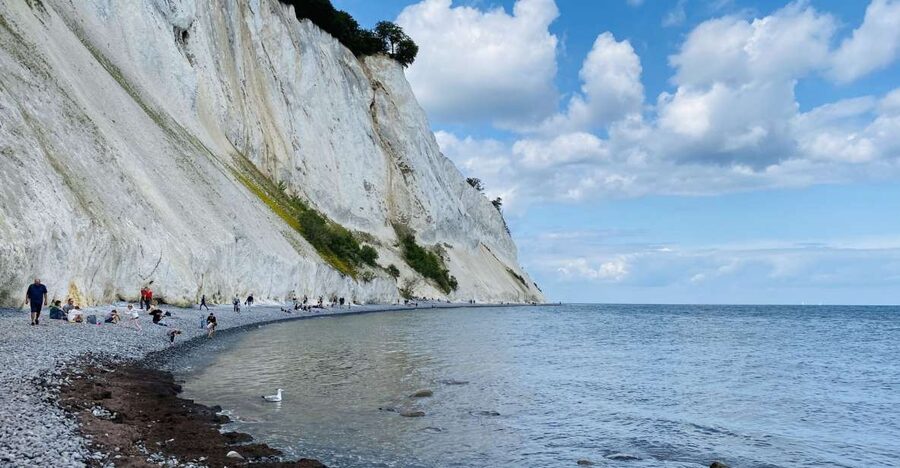 From Copenhagen: Round-Trip to Møns Klint and Forest Tower - How the 8-hour schedule feels
