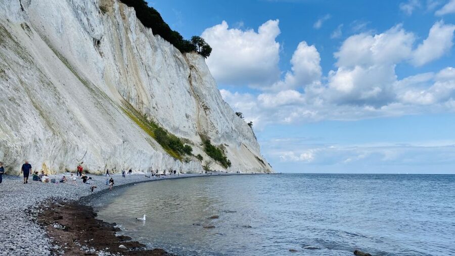 From Copenhagen: Round-Trip to Møns Klint and Forest Tower - Price, extras, and overall value