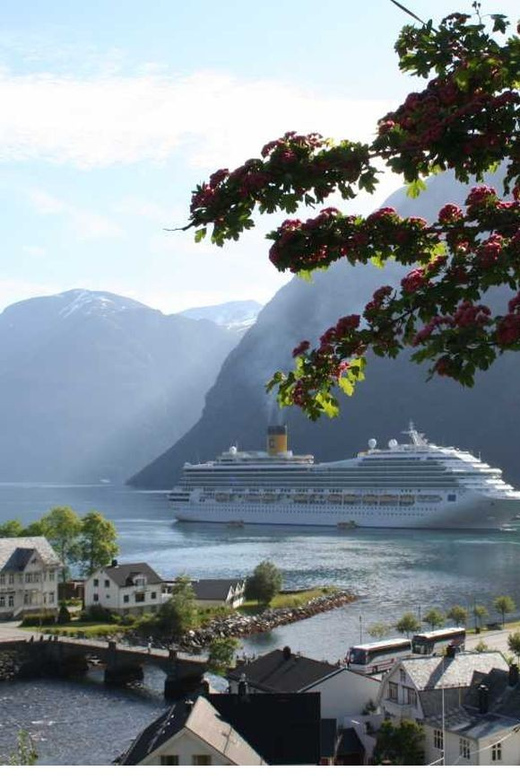 From Hellesylt: The Best of Geiranger Shore Excursion - A useful pause in Stryn