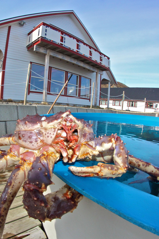 From Honningsvåg: VIP North Cape and Kingcrab Tour - A Sámi Stop With a Seasonal Limit