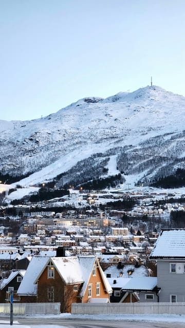 From Kiruna: Narvik City and Fjord Day Trip - Key points at a glance