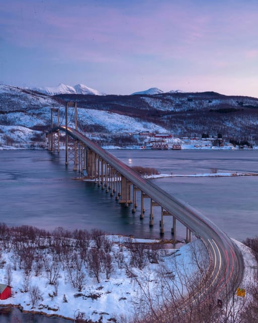 From Kiruna: Narvik City and Fjord Day Trip - What the small group and guide add