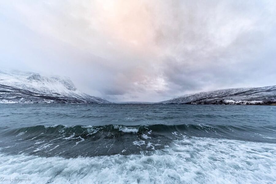 From Kiruna: Narvik City and Fjord Day Trip - Lunch, timing, and the $245 question