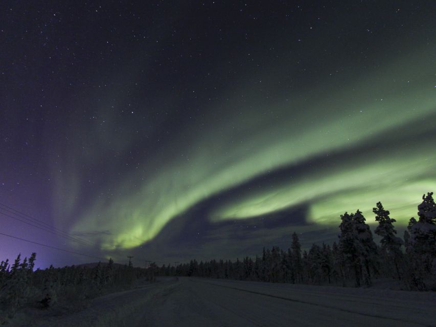 From Kiruna: Northern Lights Guided Husky Sledding Adventure - Key points to know before you book
