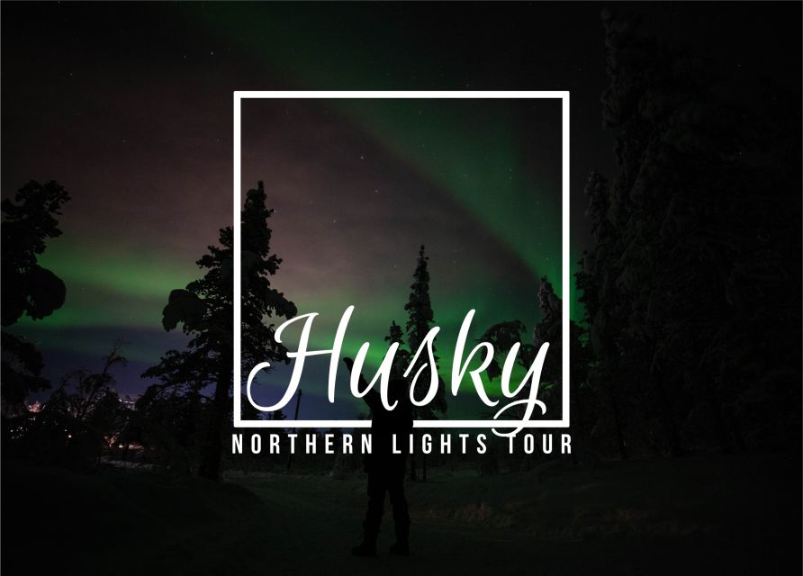 From Kiruna: Northern Lights Guided Husky Sledding Adventure - A hands-on night with Kiruna’s huskies