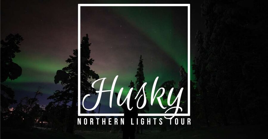 From Kiruna: Northern Lights Guided Husky Sledding Adventure - Meeting more than 40 huskies at the base camp
