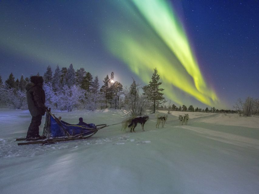 From Kiruna: Northern Lights Guided Husky Sledding Adventure - The 30-minute safety briefing matters