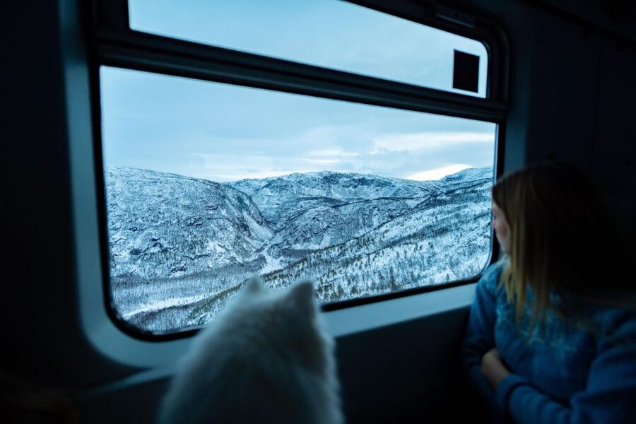 From Narvik: Roundtrip Arctic Train Ride on Ofoten Railway - Narvik to Bjørnfjell: the best views are on the climb