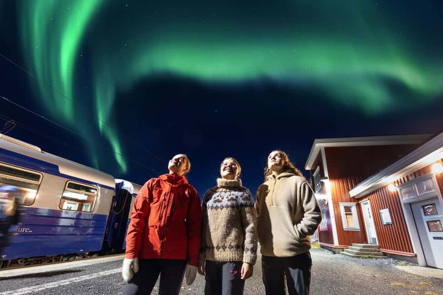 From Narvik: The Northern Lights Arctic Train Guided Tour - Riding the Northern Lights Train out of Narvik