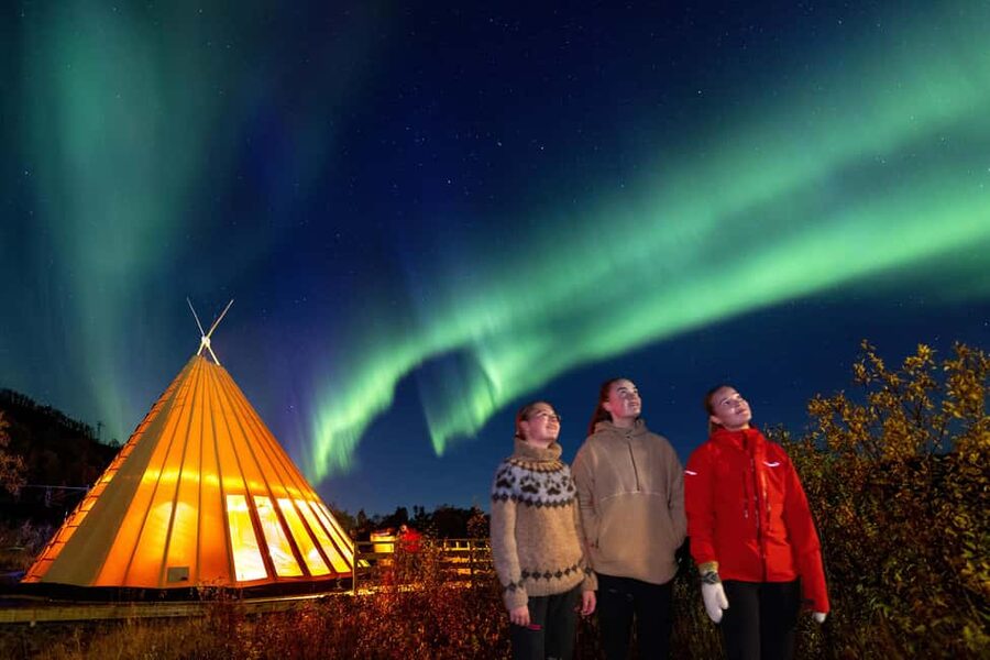 From Narvik: The Northern Lights Arctic Train Guided Tour - Is $142 a fair price?